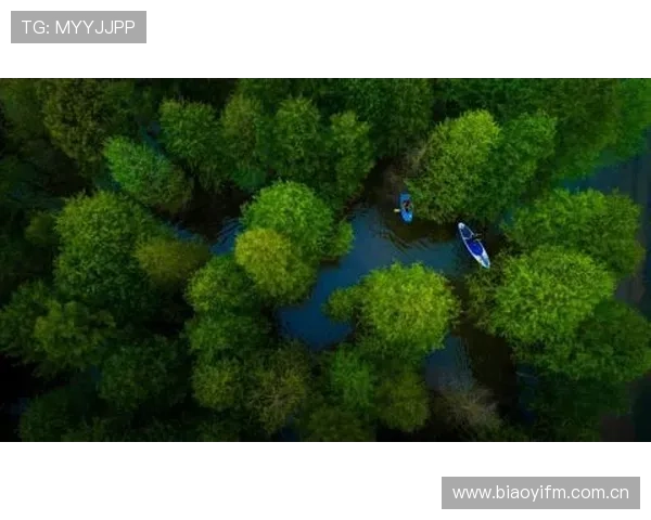 巴尔韦德与基米希：多面手中场的不同发展路径